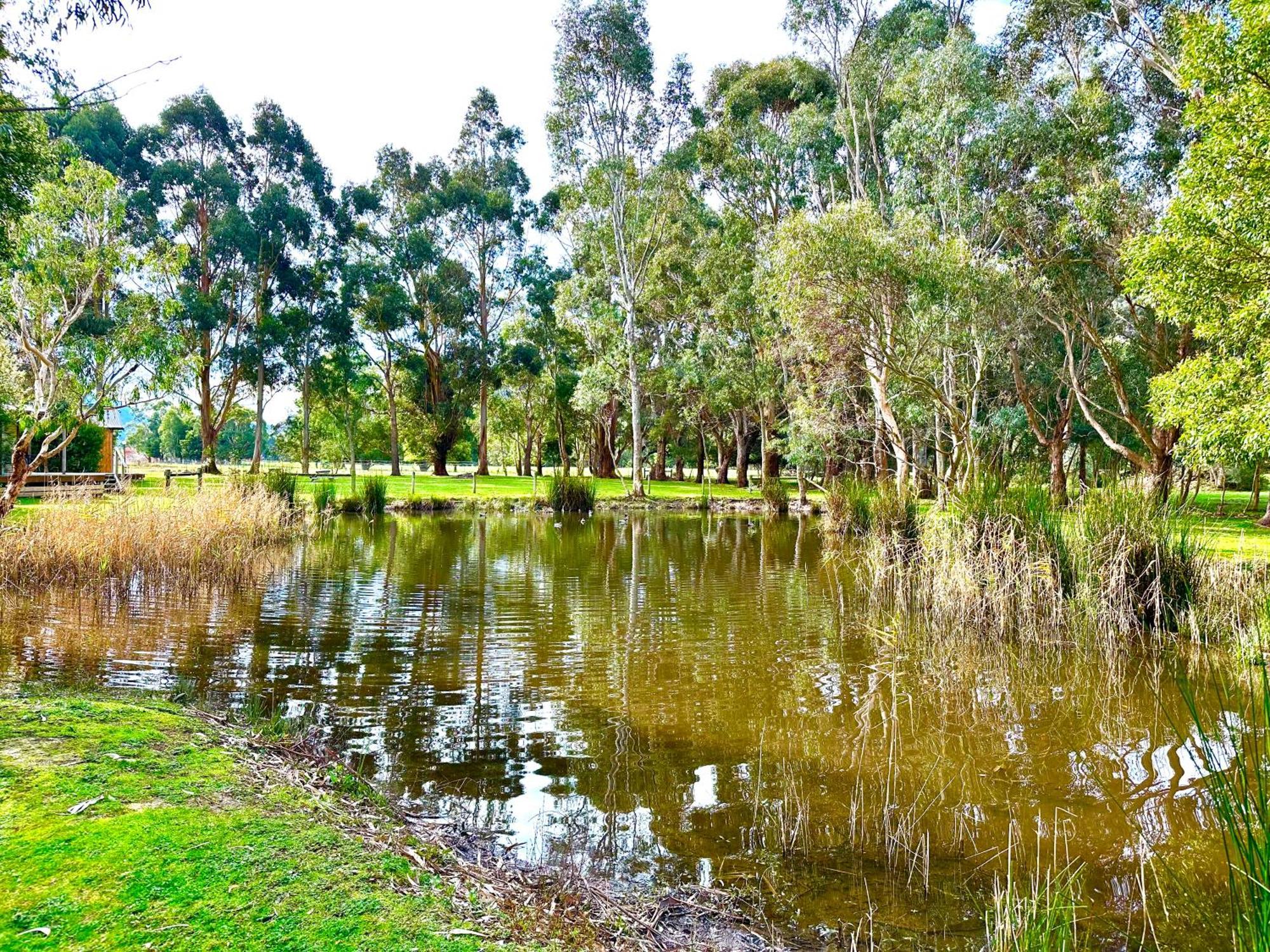 Grampians Chalets Halls Gap Εξωτερικό φωτογραφία