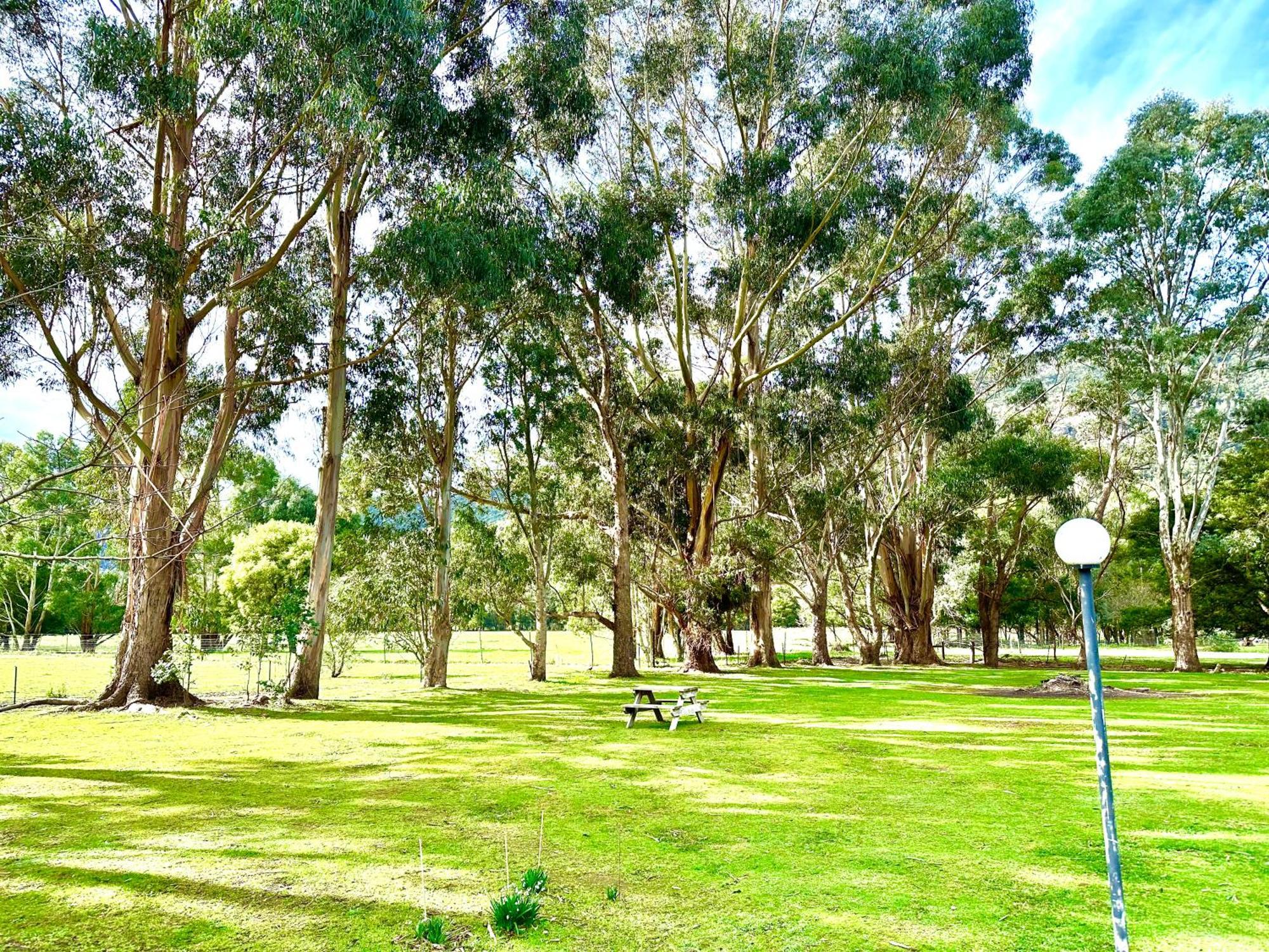 Grampians Chalets Halls Gap Εξωτερικό φωτογραφία